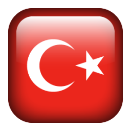 Türkçe stil danışmanlığı